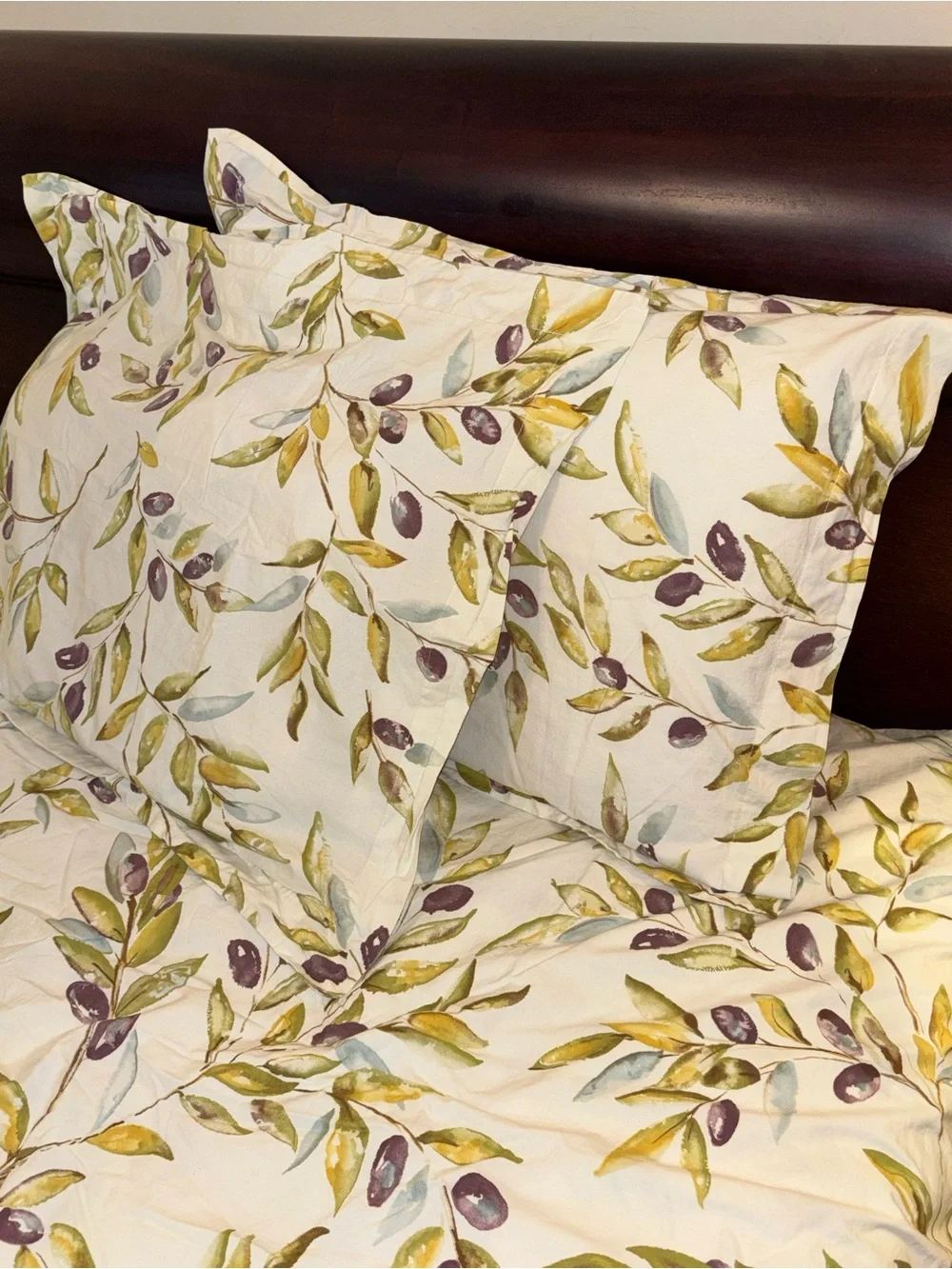 POTTERY BARN ORGANIC COTTON KING DUVET + 2  PILLOW SHAMS  OLIVE BRANCH PRINT